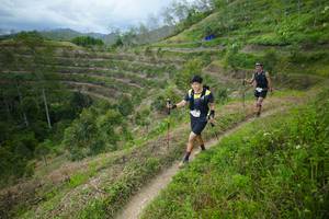 BIB: 
                            <button type="button" onclick="openModal(21839583)" class="btn btn-primary btn-sm float-right btn-popup" data-toggle="modal" data-target=".modal-high-quality">
                        <i class="fas fa-shopping-cart"></i> Add to Cart
                    </button>
                                            <button type="button" onclick="isThisMe(21839583, true)" class="btn btn-success btn-sm float-right btn-popup btn-isme hidden" data-toggle="tooltip" data-placement="bottom" title="นี่คือรูปของคุณใช่ไหม คลิกที่นี่เพื่อเอาเข้าอัลบั้ม">
                        <i class="fas fa-plus"></i> Add to album
                    </button>
                    <button type="button" onclick="isThisMe(21839583, false)" class="btn btn-warning btn-sm float-right btn-popup btn-isnotme hidden">
                        <i class="fas fa-ban"></i> Remove from album
                    </button>